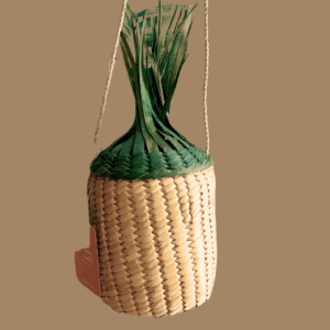 BOLSA DE PLAYA PIÑA
